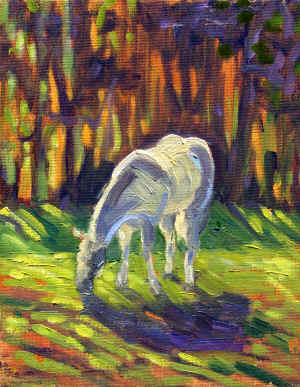 White Horse Pasture8x10 o max.jpg (1628917 bytes)