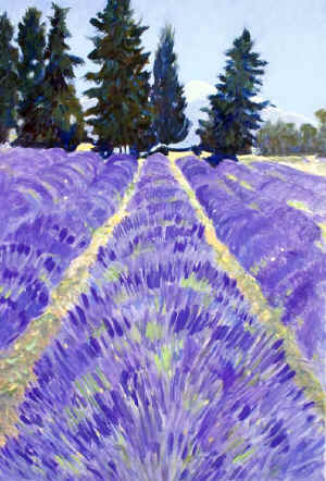 Lavender and Mt Ventoux 36 x 24 oil med.jpg (111390 bytes)